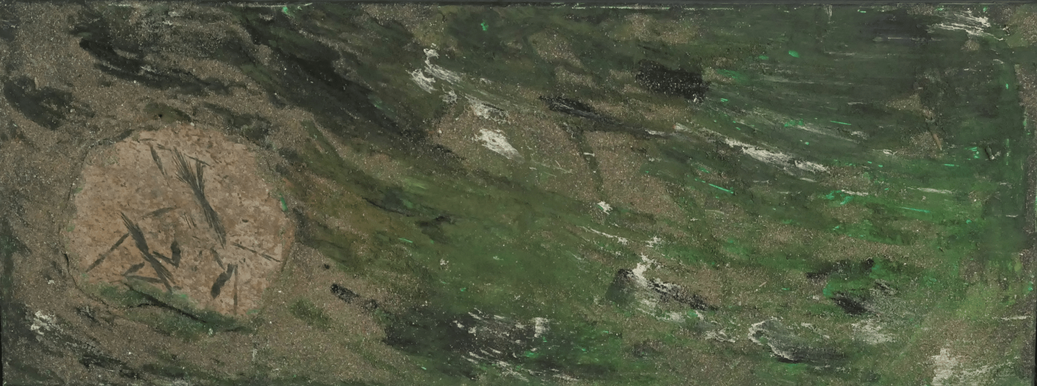 Finding: Fossil Petrified Grass - Bunter Fine Art