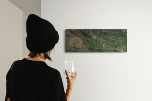 Finding: Fossil Petrified Grass - Bunter Fine Art