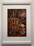 Lady with Ammonite - Bunter Fine Art